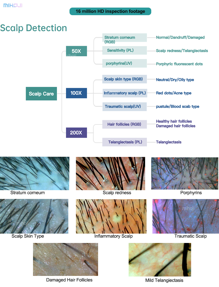 White Skin And Hair Analysis Machine Desktop Type for Commercial beauty