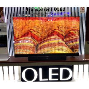 Small Flexible Transparent OLED Display Panel With High Refresh Rate