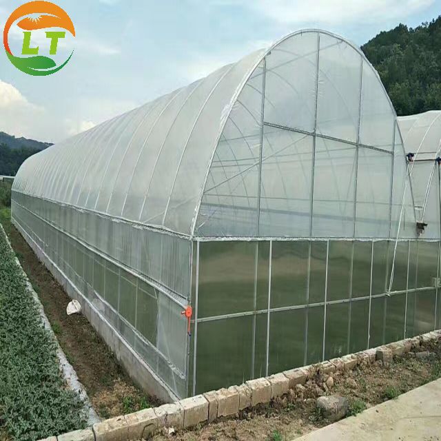 Galvanized Steel Single-span Tunnel Greenhouse for Growing Vegetables Fruits Flowers