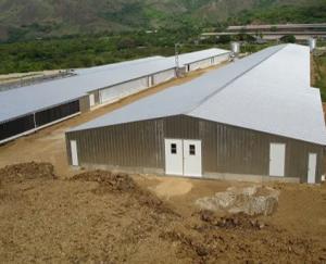 Quality Prefabricated Glavanized Light Steel Structure Farm Poultry House Shed for sale