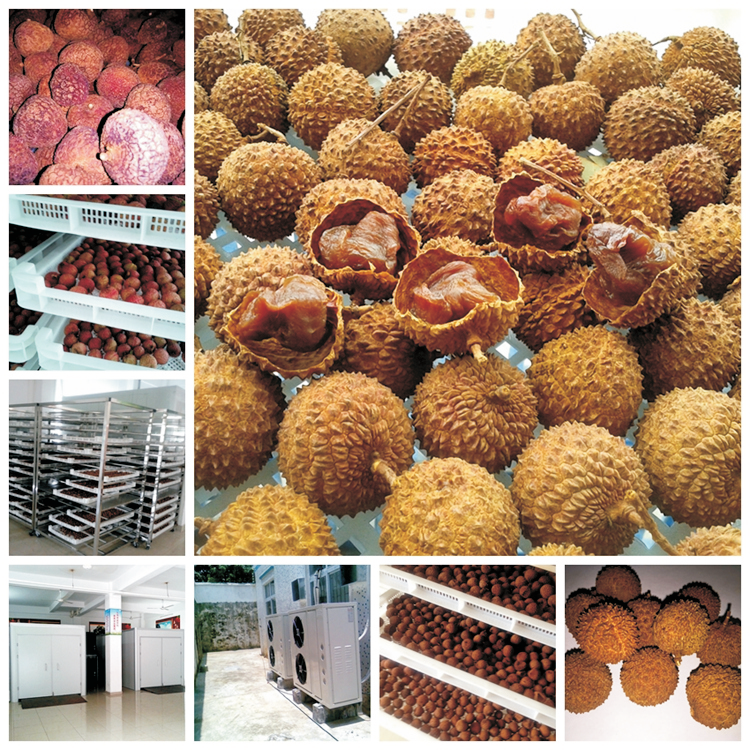 Fruit Drying Machine Heat Pump Full-Effect Dehumidifier Nuts Below 30 Degrees