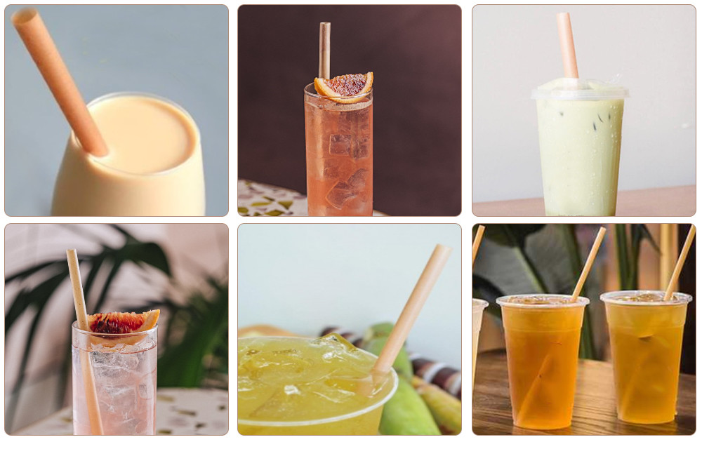 Wholesale Disposable Biodegradables Bagasse Drinking Straws For Party
