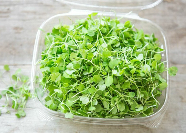 Multihead Weigher Packing Machine for Lettuce Vegetable Packaging System Traysealer Ready Tray