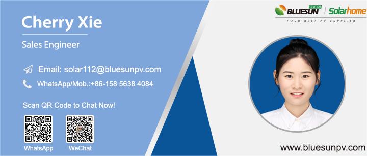 BLUESUN All Black 100W 18V ETFE 200W Flexible 180W Solar Panel 110W 160W Free Shipping