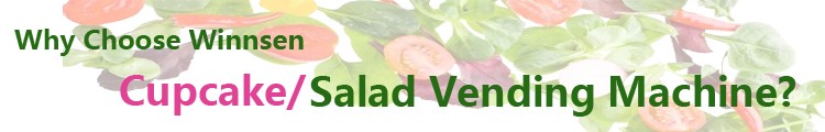 Full Automatic Combination Salad Vending Machine 22 Inch