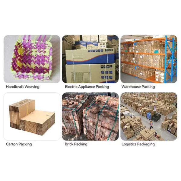 5-19mm Customized Packing PP Strap PP Strapping Polypropylene Strap for Box Fruits