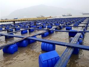 Quality Farming Machinery Freshwater Fish Culture Cage Pontoon Customized for sale
