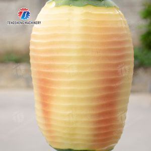 watermelon Hami Melon Vertical one knife peeling machine papaya chieh-qua