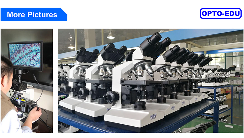 Laboratory Compound Xsz 107bn 1600x Biological Microscope