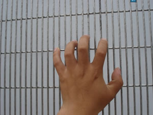 High Security Fence