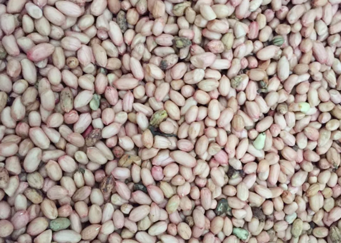 Recyclable 7 Channels Peanut Color Sorter , Cashew Nut Sorting Machine