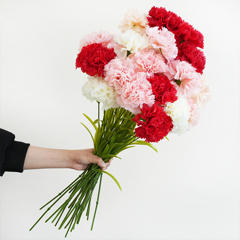 Simulated Single Branch Kangnaixin Mother's Day Gift Simulated Flower High end Silk Flower Home Decoration Flower