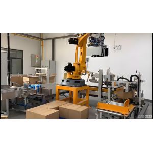 Quality End-of-Line Palletizing Robot – Bag &amp; Case Stacking for sale