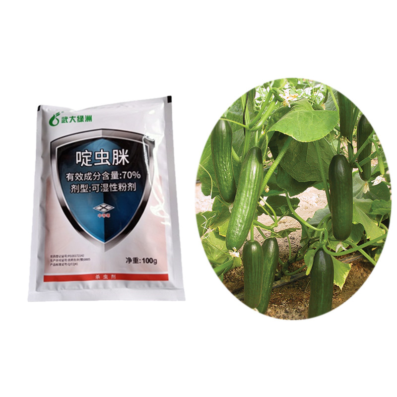 Agricultural 70% Acetamiprid WP Black Aphids Bio Chemical Pesticide Vegetable Aphids Spray