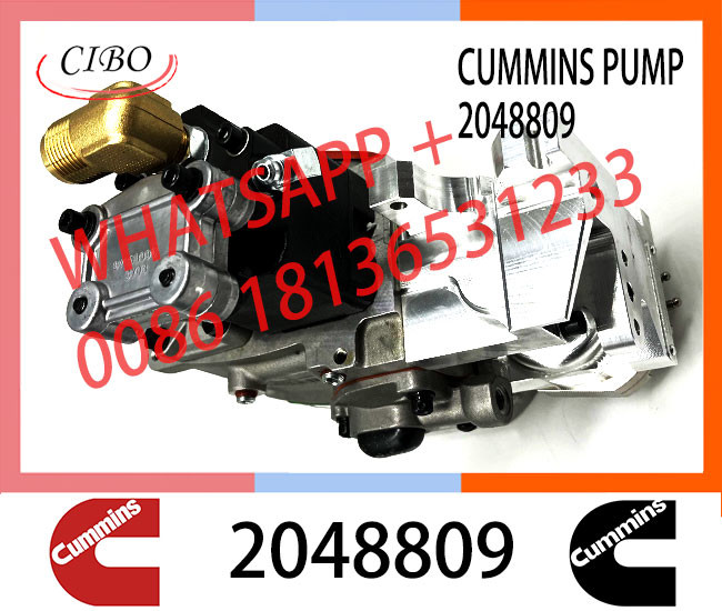 Genuine Diesel Fuel Injection Pump 3892658 2048809 3042115 3019487 3279718 4915472 3059657 For Cummins NT855