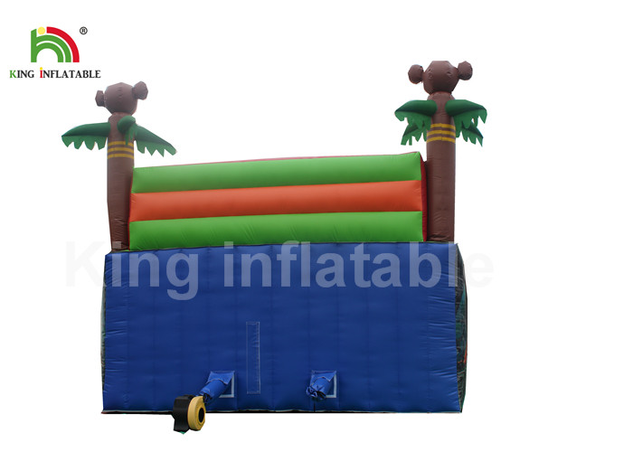 Cartoon Printing Kids Amusement Inflatable Jumping Castle With Double Lane