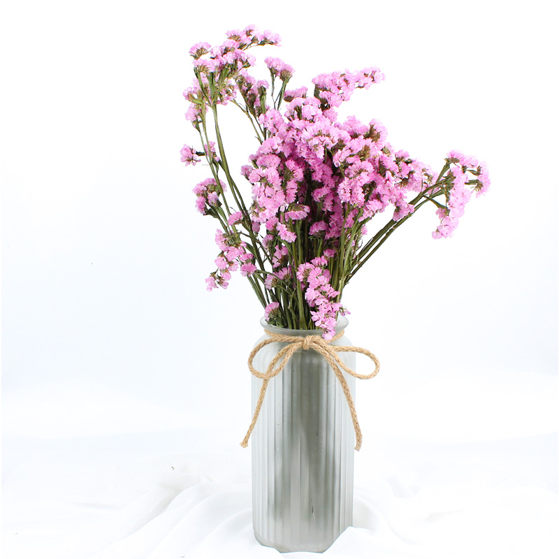 Statice Limonium Beautiful Dried Flowers Beautiful With Long Using Time