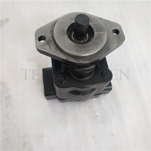 Hydraulic gear pump P330 bushing pump P330A297JFAB20-25