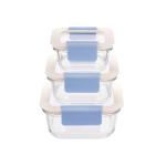 High Borosilicate Glass Food Container with 2-Lock PP Lid