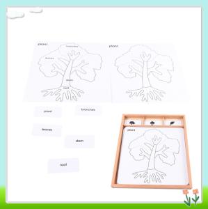 Quality Botany Puzzle Activity Set for sale