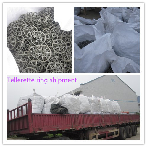 PP Plastic Teller Rosette Ring Column Packing 2K 3K For Air Scrubbing Tower