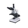 Buy cheap Trinocular WF10X 1600X Inverted Biological Microscope Compound Halogen Lamp 6V from wholesalers