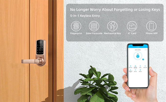 Single Latch Deadbolt Security Electronic Smart Fingerprint Door Lock with TTlock app