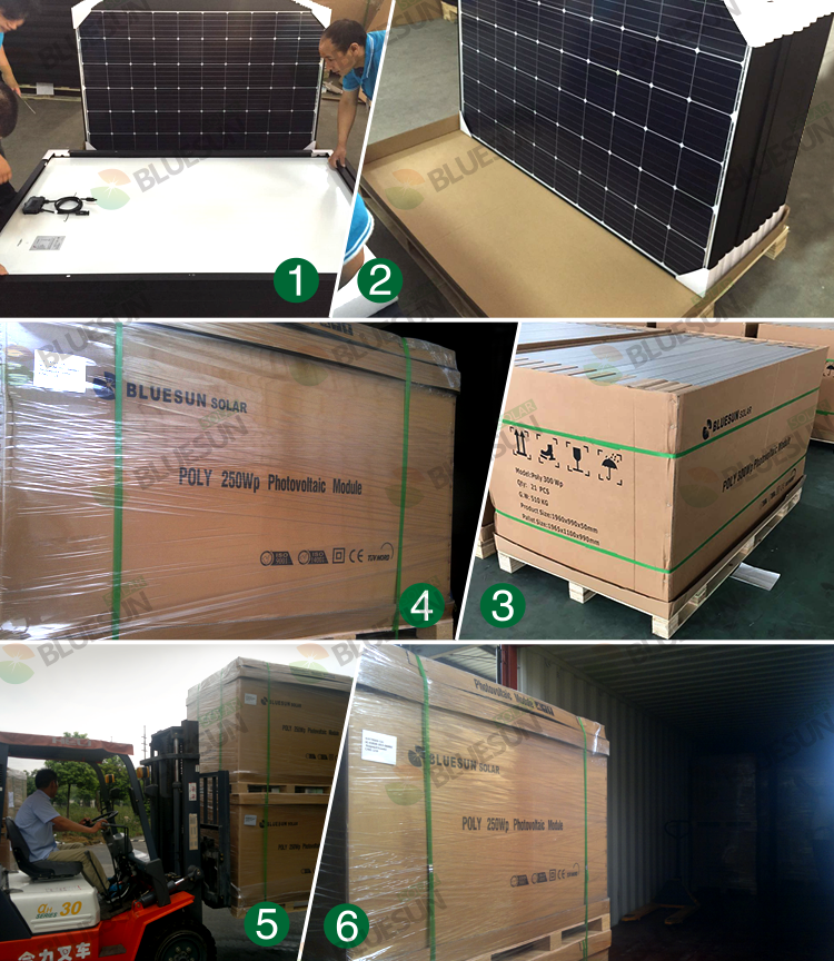 Cigs Solar Panel 330w Pv Module 340wp 350watts Hot Sale Best Price for Solar Home System