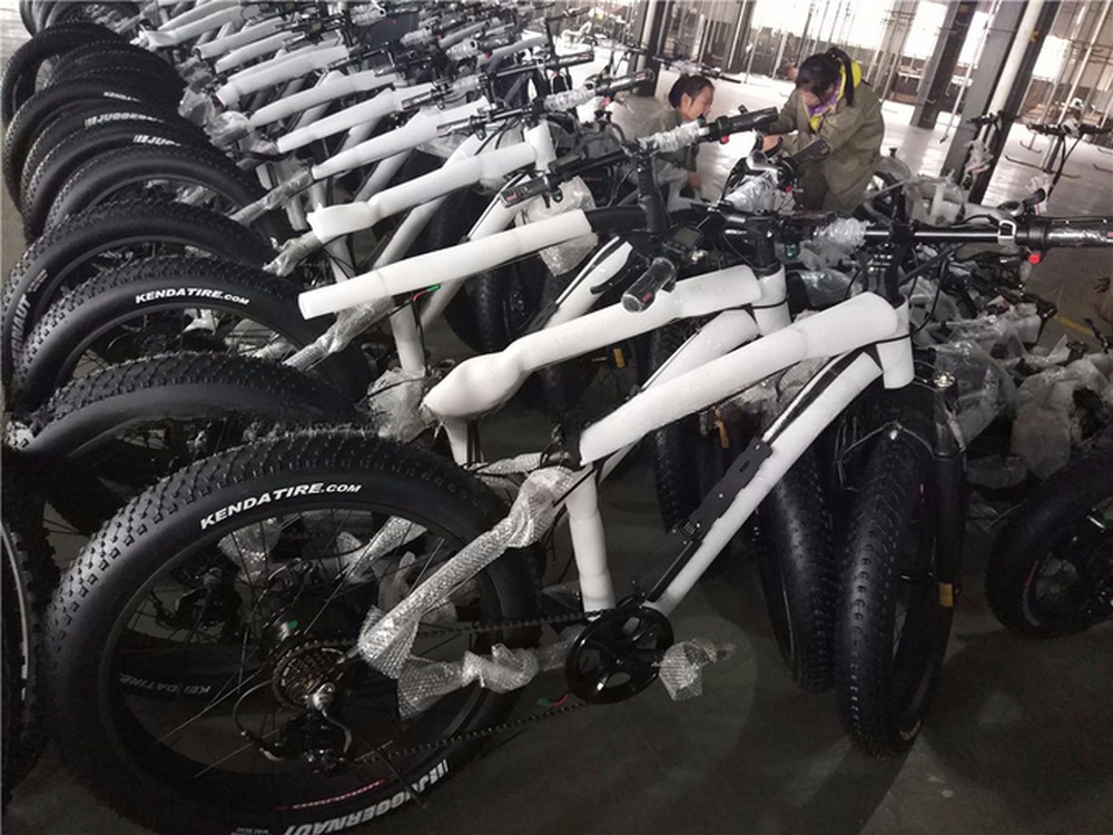 Disc Brake 750W 48V Lithium Battery Adult E Bike Fat Tire Electric Bike 26 inch with Max Speed of 30-50Km/h