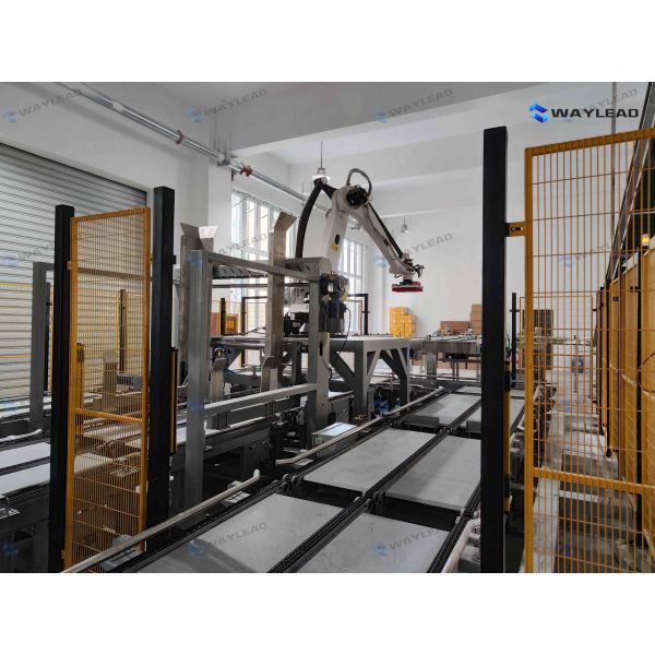 End-of-Line Palletizing Robot – Bag & Case Stacking