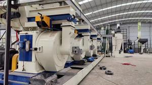 Quality 15 Ton/H Wood Pellet Production Line Manufacture 2 Rollers Wood Pellet Plant for sale
