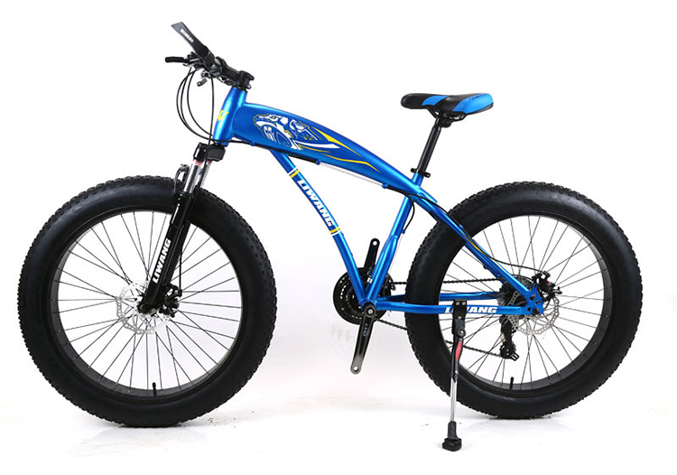 Adult Customized Mountain Cruiser Bicycle Fat Tire Mountain Bikes with 4.0 inch Tire Width and carbon steel Fork Material