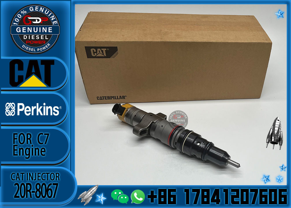 Diesel Engine Parts Common Rail Fuel Injector 20R-8067 for CAT C7 Diesel Engine CNDIP Factory price