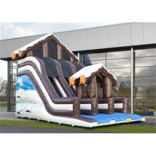 Full Print Commercial Inflatable Slide, Attractive Inflatable Playground Slide