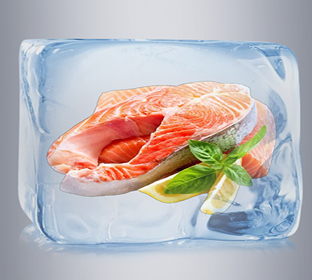 8.5-10cm Foam Layer Ultra-Low Chest Freezer for Large Capacity -60°C Seafood Storage