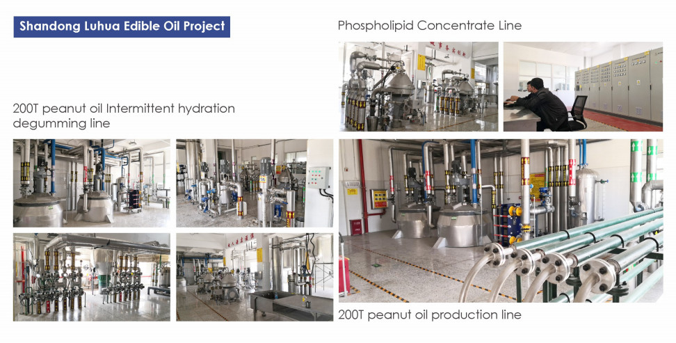 Cooking Vegetable Oil Refinery Plant 1500TPD OEM Energy Saving