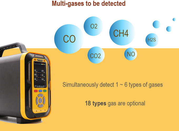 PTM600 O2/CO/CO2/H2S/CH4/H2 Industrial Flue Gas Analyzer With Infrared Sensors Imported