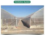 High Output Attractive Single Span Greenhouse With Stable Structure