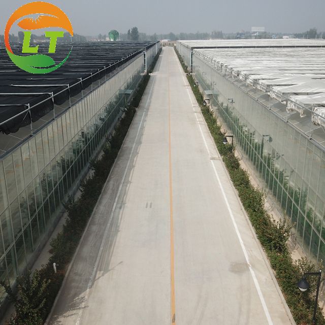 Multi-Span Agricultural Greenhouses with Hot-Dip Galvanized Steel and Smart System
