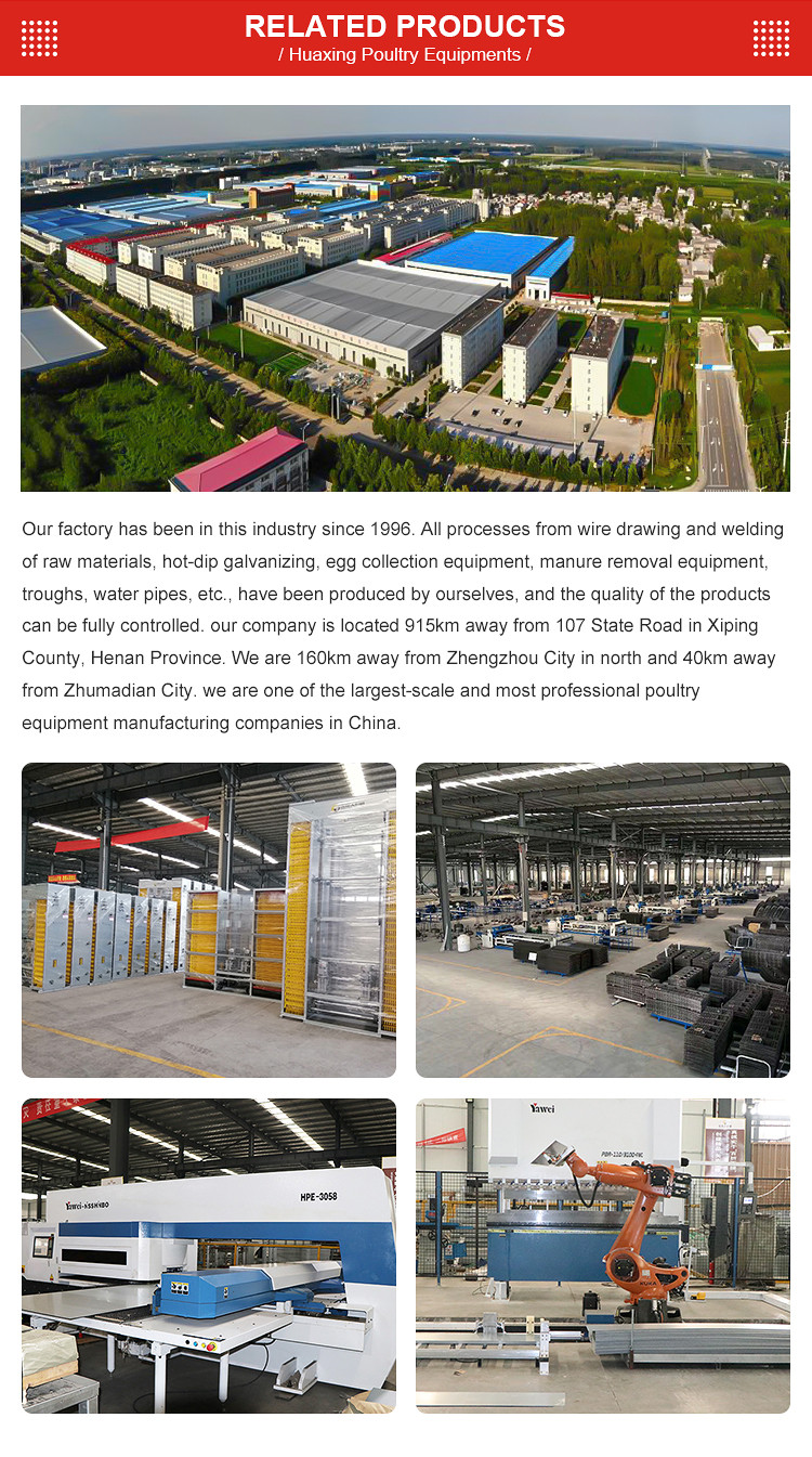 H TYPE LAYER CAGE (12).jpg