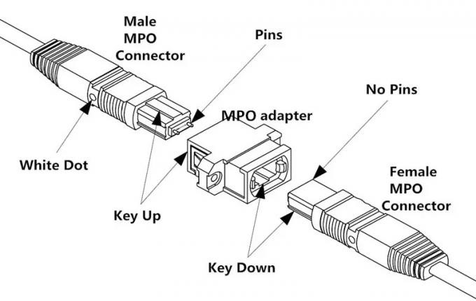 Mutimode SM MM MPO MTP Cables OM3 72 Fiber