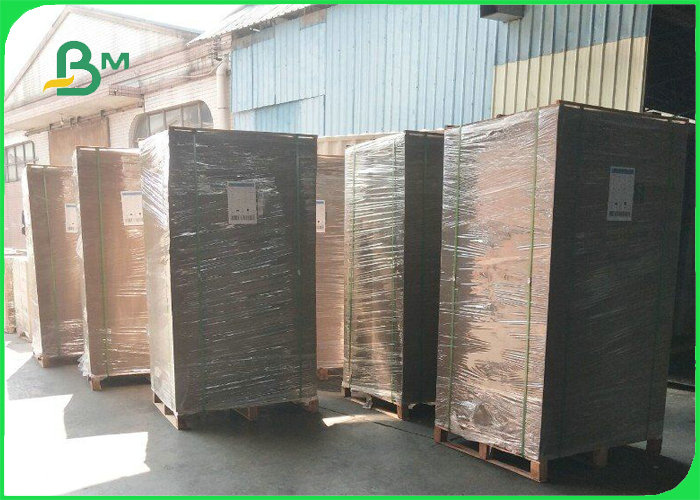 Food Grade 250gsm+ 15g PE Coated Lunch Box Paper Greaseproof 850mm 895mm