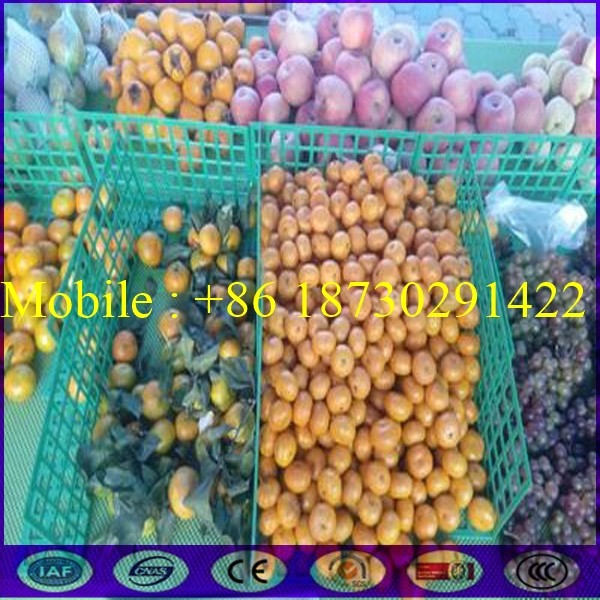 Buy Large Stock of China Store Fruit Stall Shelf Fence with Good Price at wholesale prices