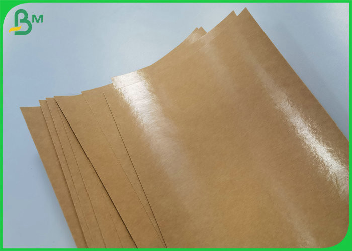 250gsm 300gsm PE Coated Paper Good Load Bearing Capacity For Paper Plates