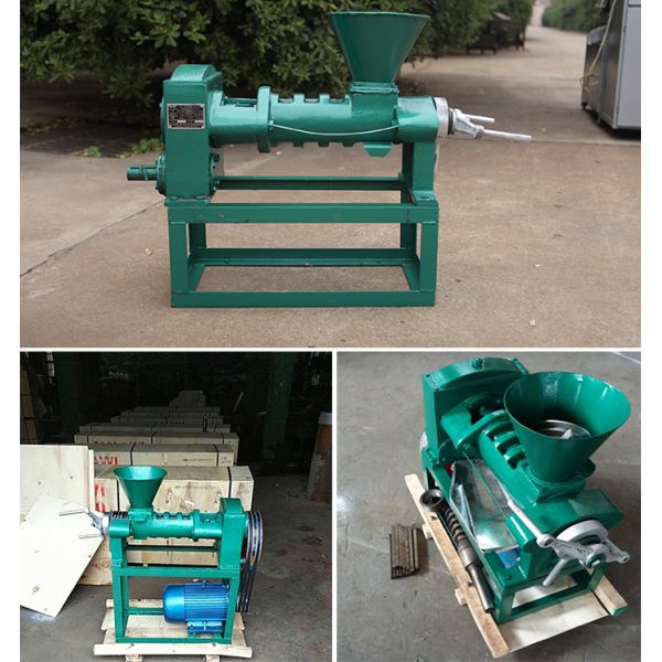 Max 50 kg/h Capacity Soybean/Sesame Peanut Oil Press/Expeller/Processing/Extraction Machine for Healthy Oil Extraction