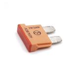 80V Standard Car Auto Fuse