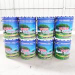 White Excellent Crystalline Waterproofing Coating Grey Ability 28 Days Curing