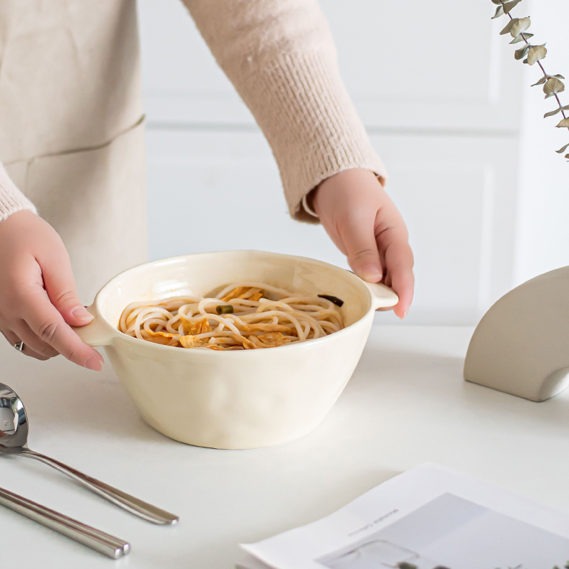 16 Pc Unbreakable Dish Set 8 Inch Noodle Bowl Dessert Salad Bowl Cute Ceramic Rice Bowls