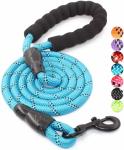5 FT Nylon Dog Leash With Comfortable Padded Handle