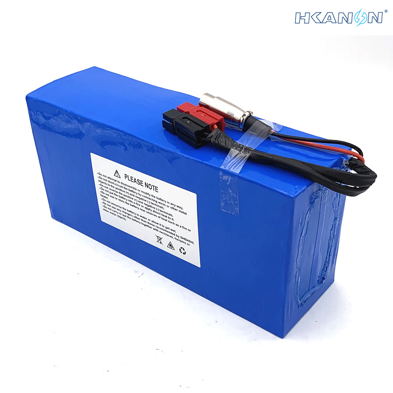24 Volt Electric Bicycle Lithium Battery Customized Capacity With Various Housing IP65